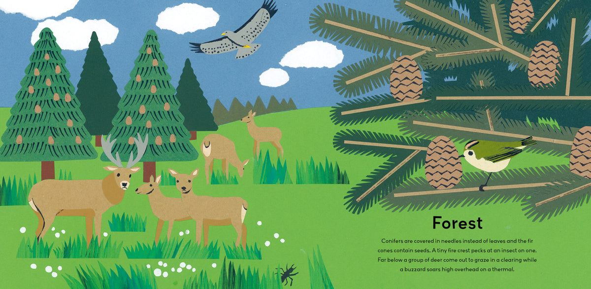 A Moment in Nature: A Treasury For Little Nature Lovers