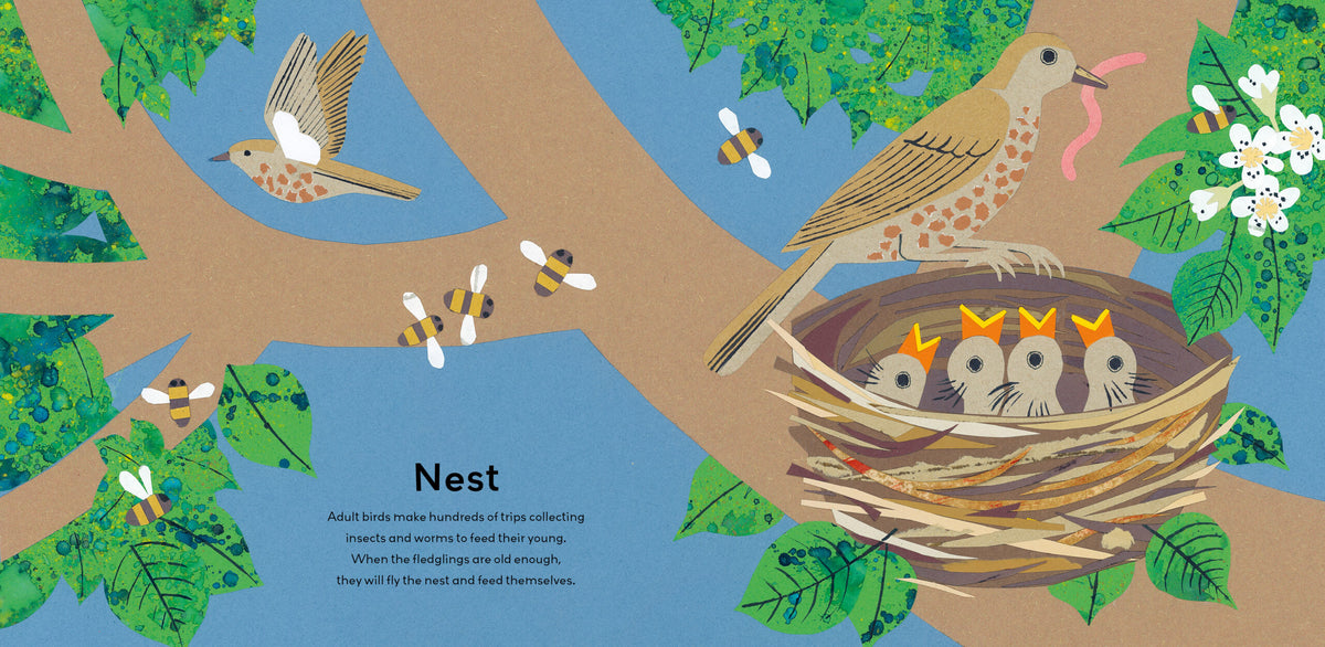 A Moment in Nature: A Treasury For Little Nature Lovers