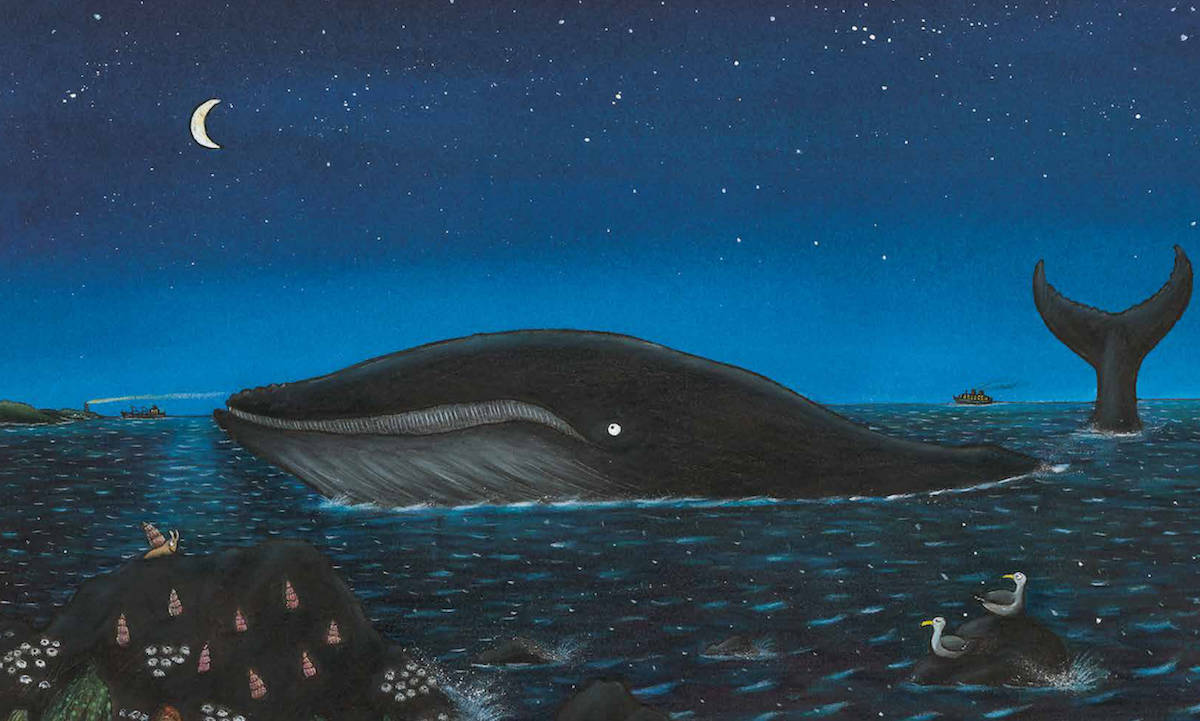 The Snail and the Whale