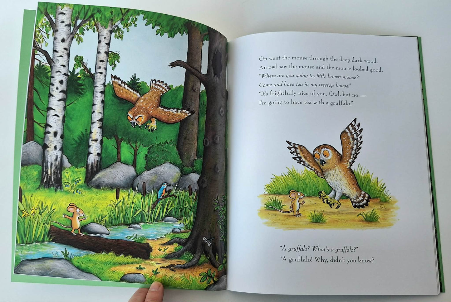 Adventure Stories for Father’s Day